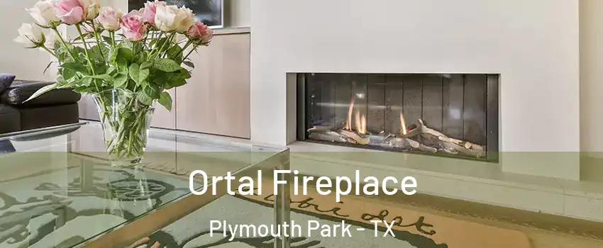 Ortal Fireplace Plymouth Park - TX