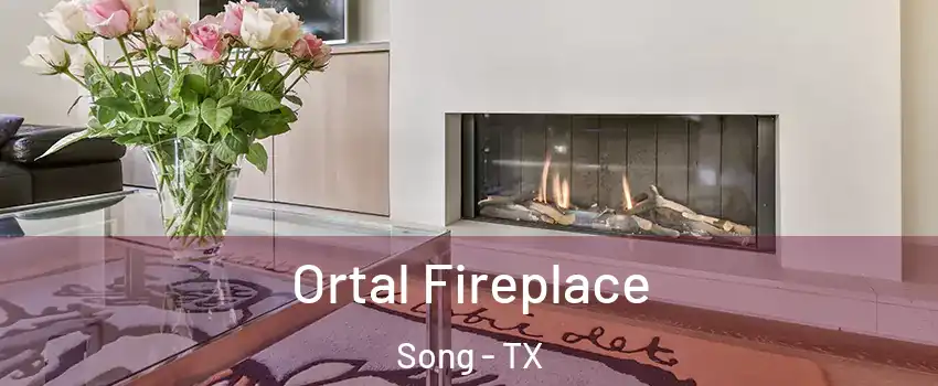 Ortal Fireplace Song - TX