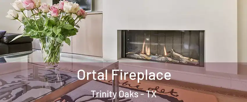 Ortal Fireplace Trinity Oaks - TX