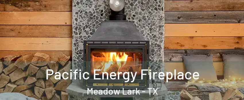 Pacific Energy Fireplace Meadow Lark - TX
