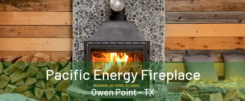 Pacific Energy Fireplace Owen Point - TX