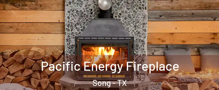 Pacific Energy Fireplace Song - TX