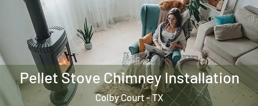 Pellet Stove Chimney Installation Colby Court - TX