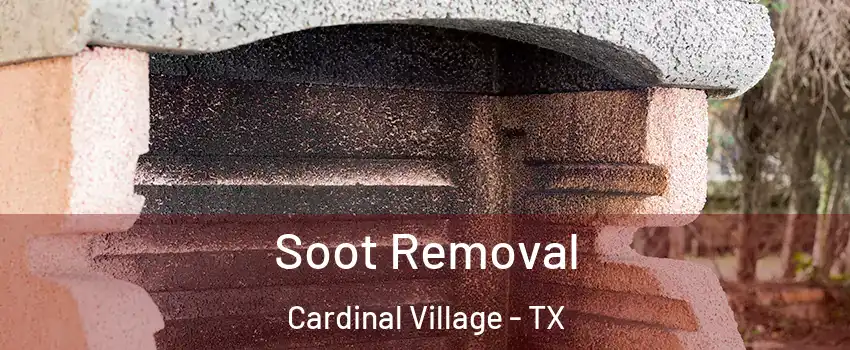 Soot Removal Cardinal Village - TX