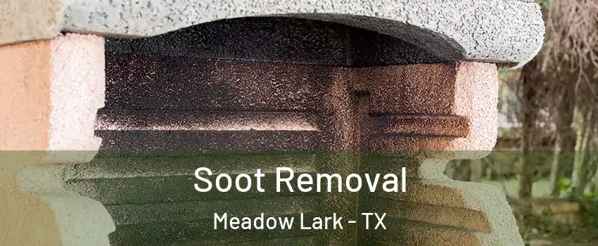 Soot Removal Meadow Lark - TX