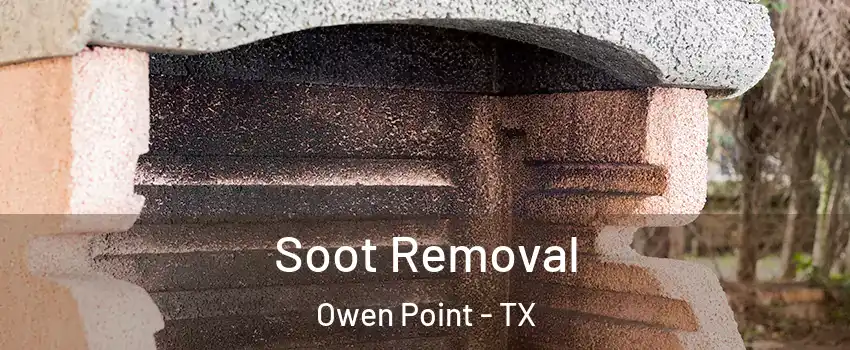 Soot Removal Owen Point - TX