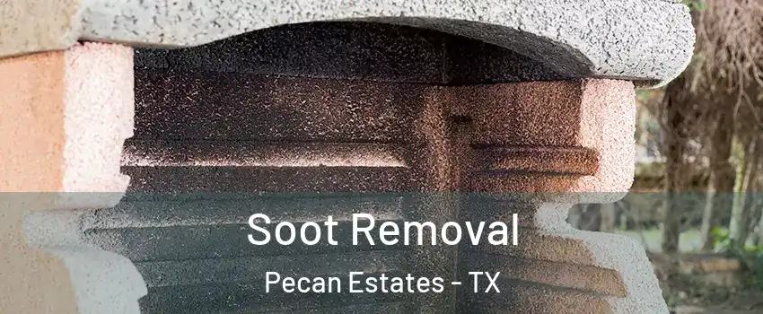 Soot Removal Pecan Estates - TX