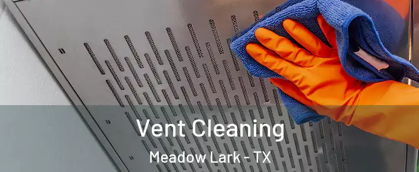 Vent Cleaning Meadow Lark - TX