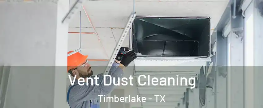 Vent Dust Cleaning Timberlake - TX