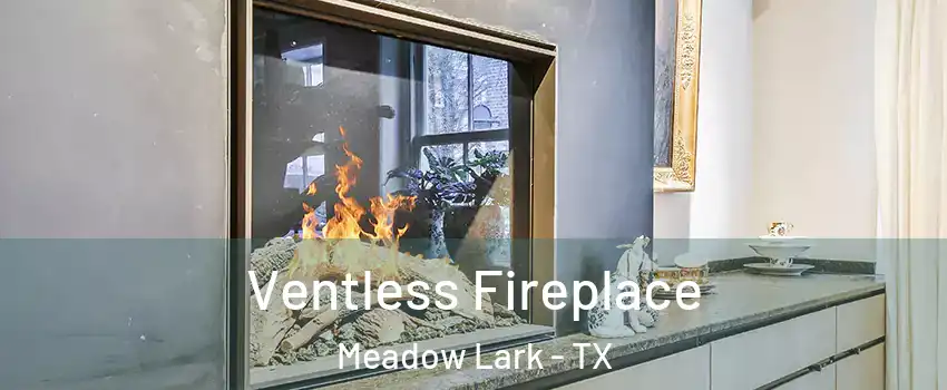 Ventless Fireplace Meadow Lark - TX