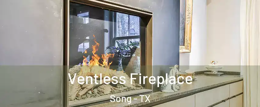 Ventless Fireplace Song - TX