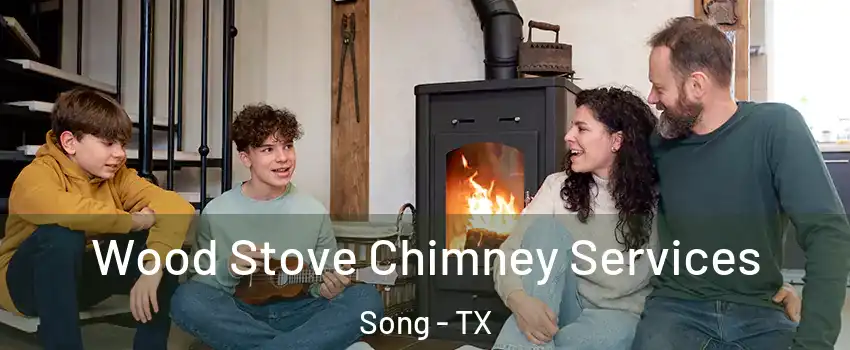Wood Stove Chimney Services Song - TX