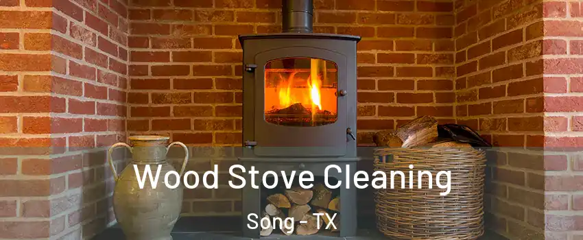 Wood Stove Cleaning Song - TX
